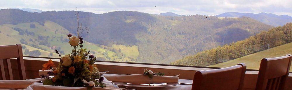 "Gutshof Lilienfein" - Medical Resort & Herbal Spa Im Suedschwarzwald Wieden Exterior photo